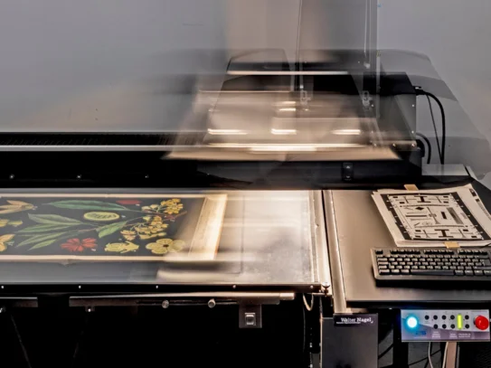 Ein botanisches Werk wird von einem Scanner digitalisiert, rechts daneben zeigt ein PC-Bildschirm die aktuell gescannte Seite.